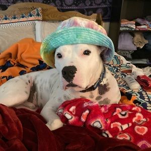 Meet your Posher, Meredith